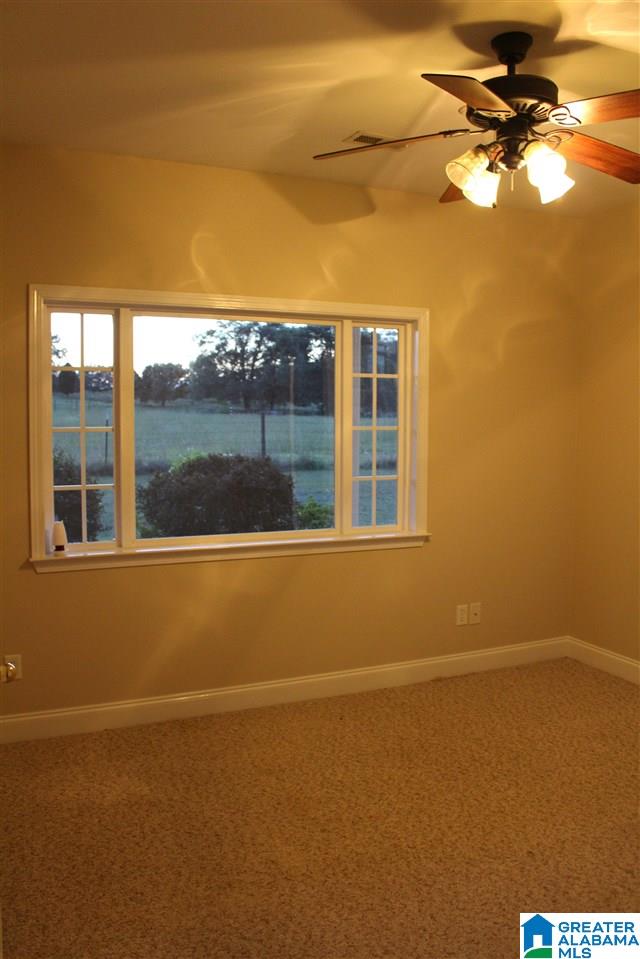 203 Camp Creek Road Vincent, AL 35178 - Photo 19 of 31