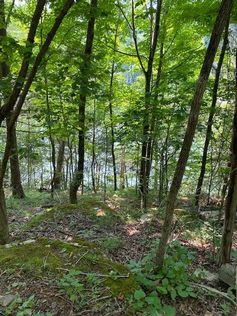 3.37 Hale Boat Dock Road Doyle, TN 38559 - Photo 8 of 12 Doyle8
