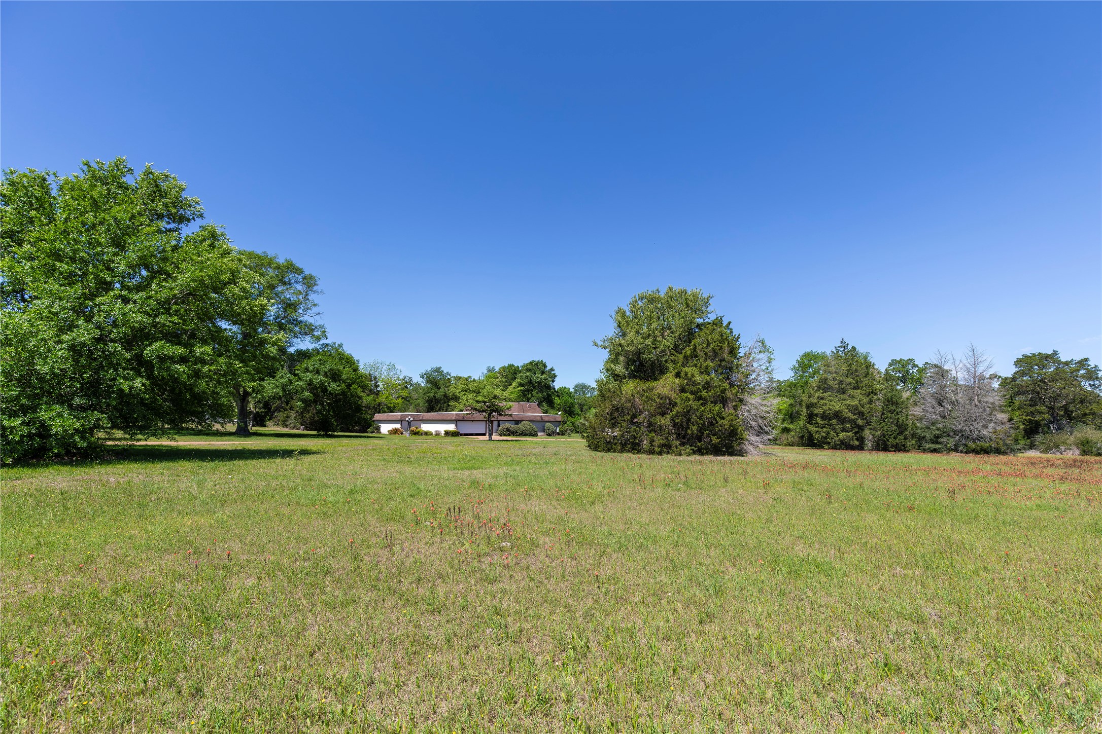 119 Heritage Trail Bellville, TX 77418 - Photo 11 of 20 a view of a field with trees in the background