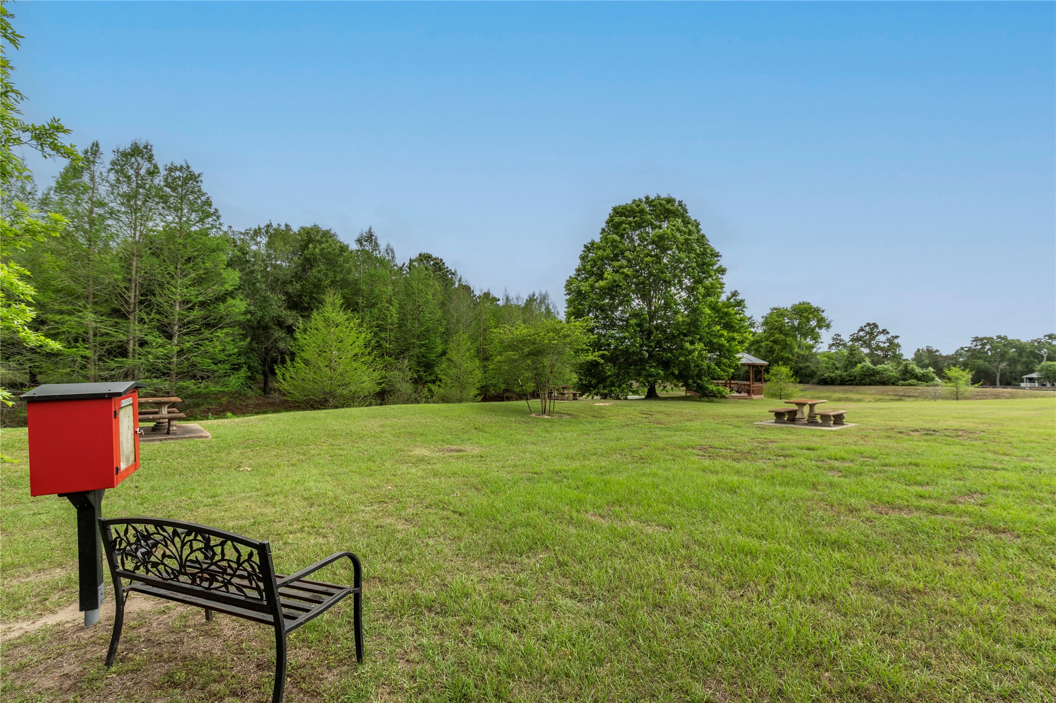 119 Heritage Trail Bellville, TX 77418 - Photo 18 of 20 a yard with lots of green space and deers