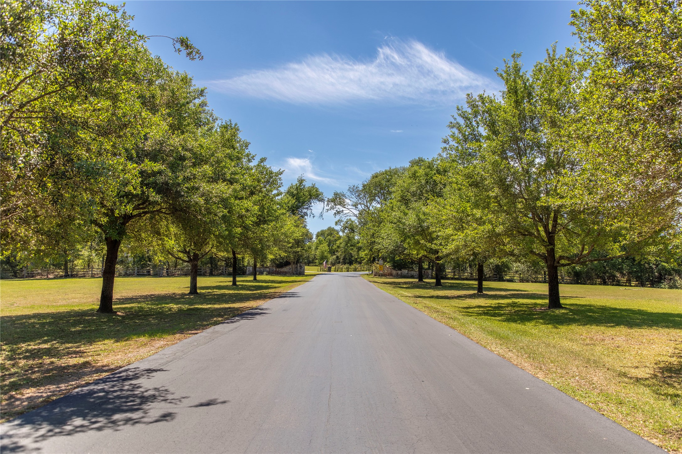 119 Heritage Trail Bellville, TX 77418 - Photo 2 of 20 a view of a park with large trees