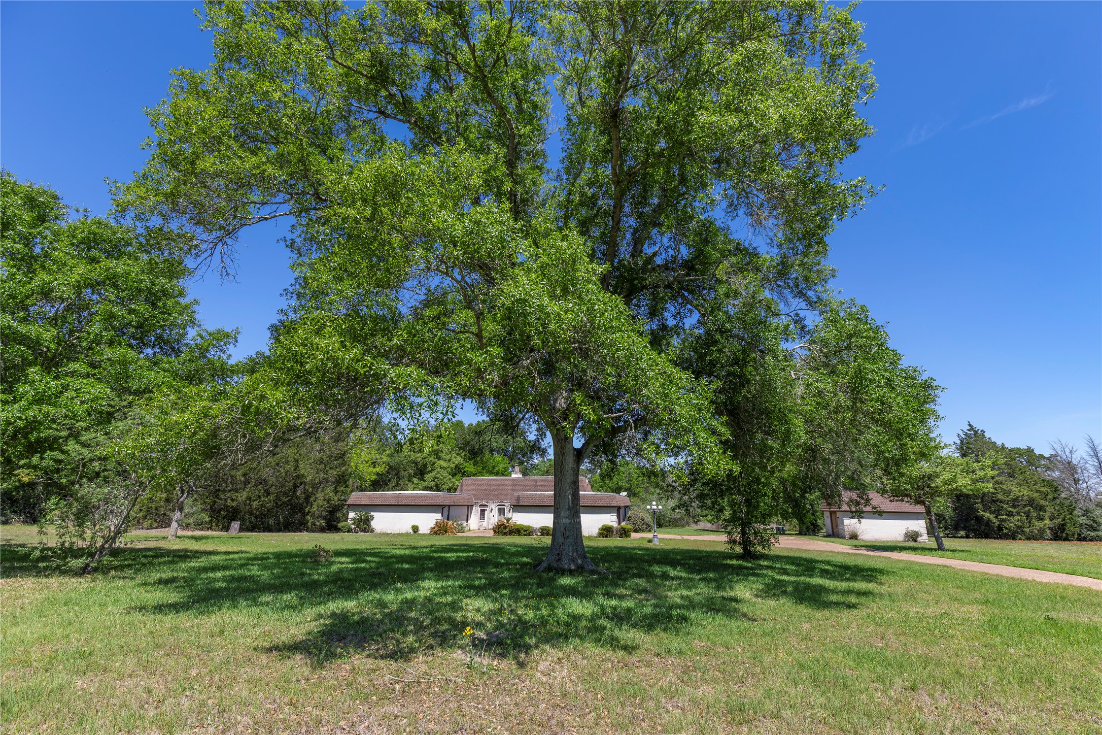 119 Heritage Trail Bellville, TX 77418 - Photo 9 of 20 a backyard of a house with lots of green space