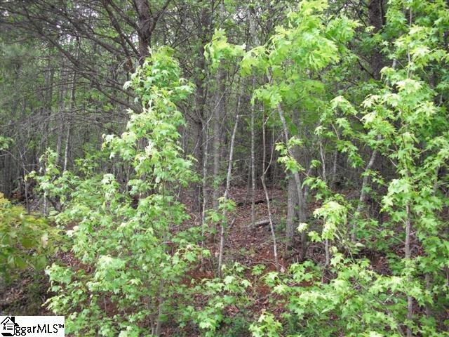 96 Benson Road Travelers Rest, SC 29690 - Photo 2 of 3