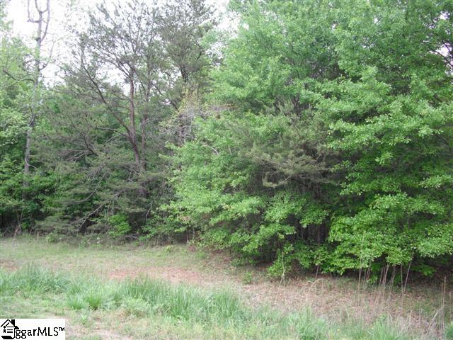 96 Benson Road Travelers Rest, SC 29690 - Photo 3 of 3