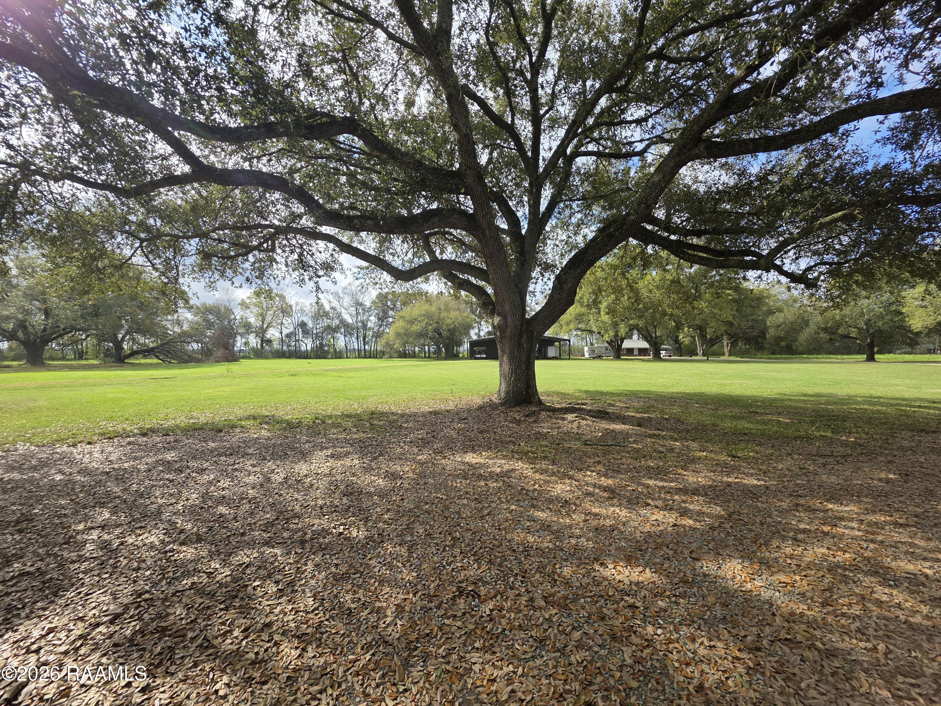 5602 Vidrine Road, Unit TRACT 2 Ville Platte, LA 70586 - Photo 8 of 10 20260305_091852