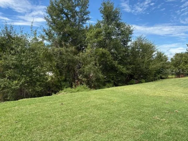 a view of a field with an trees