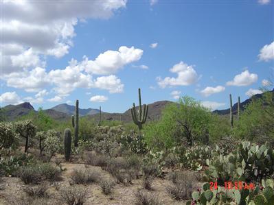 7400 West Ina Road, Unit LOT4E Tucson, AZ 85743 - Photo 2 of 3