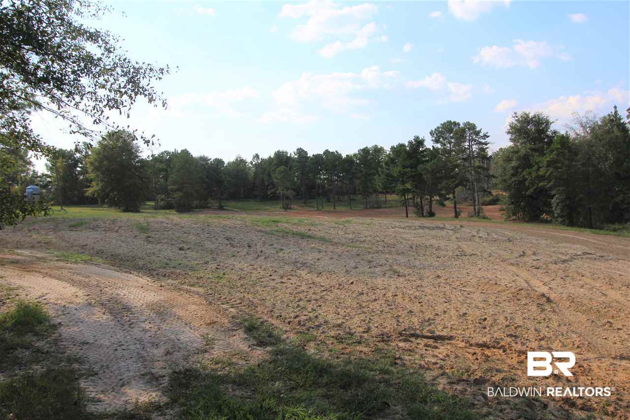 794 Dry Lake Road Luverne, AL 36049 - Photo 2 of 48 Dove Field