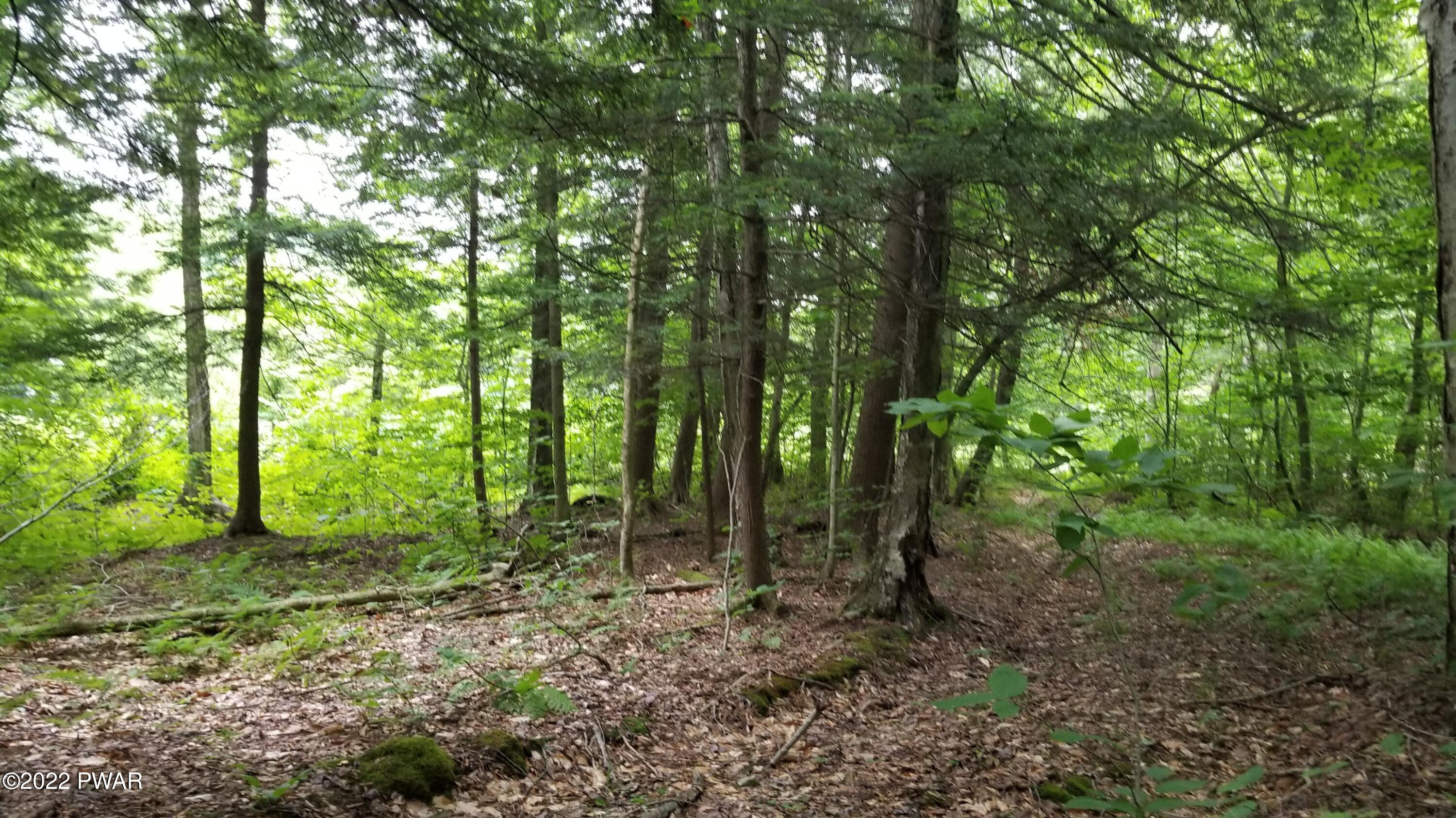 Lot 80 Stonegate Road Equinunk, PA 18417 - Photo 12 of 58