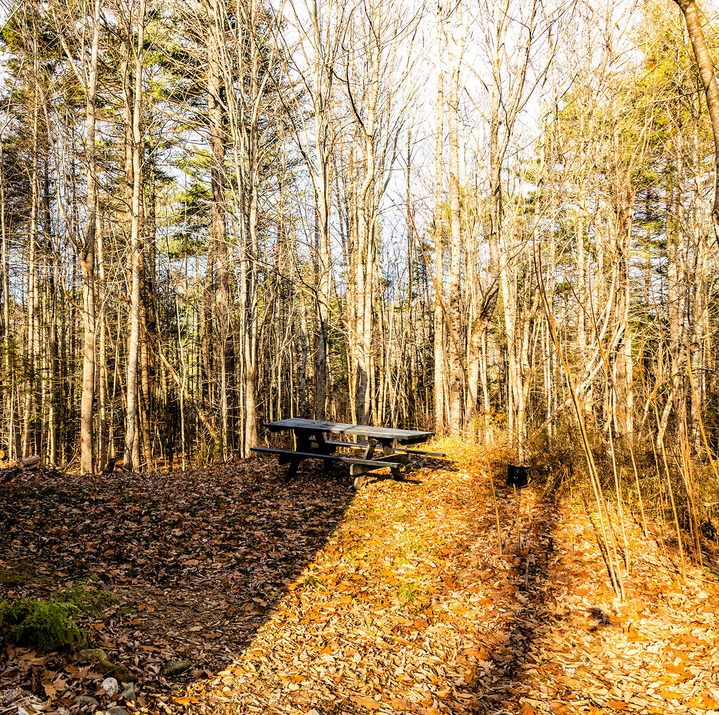60 Doak Road Belfast, ME 04915 - Photo 25 of 35 DJI_0313