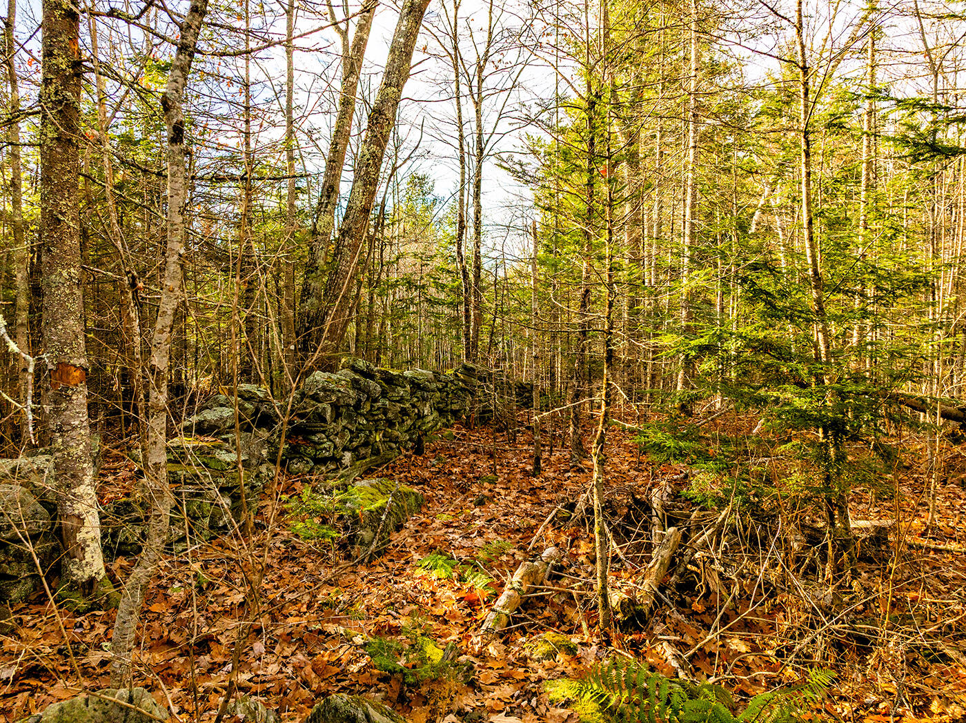 60 Doak Road Belfast, ME 04915 - Photo 32 of 35 DJI_0322