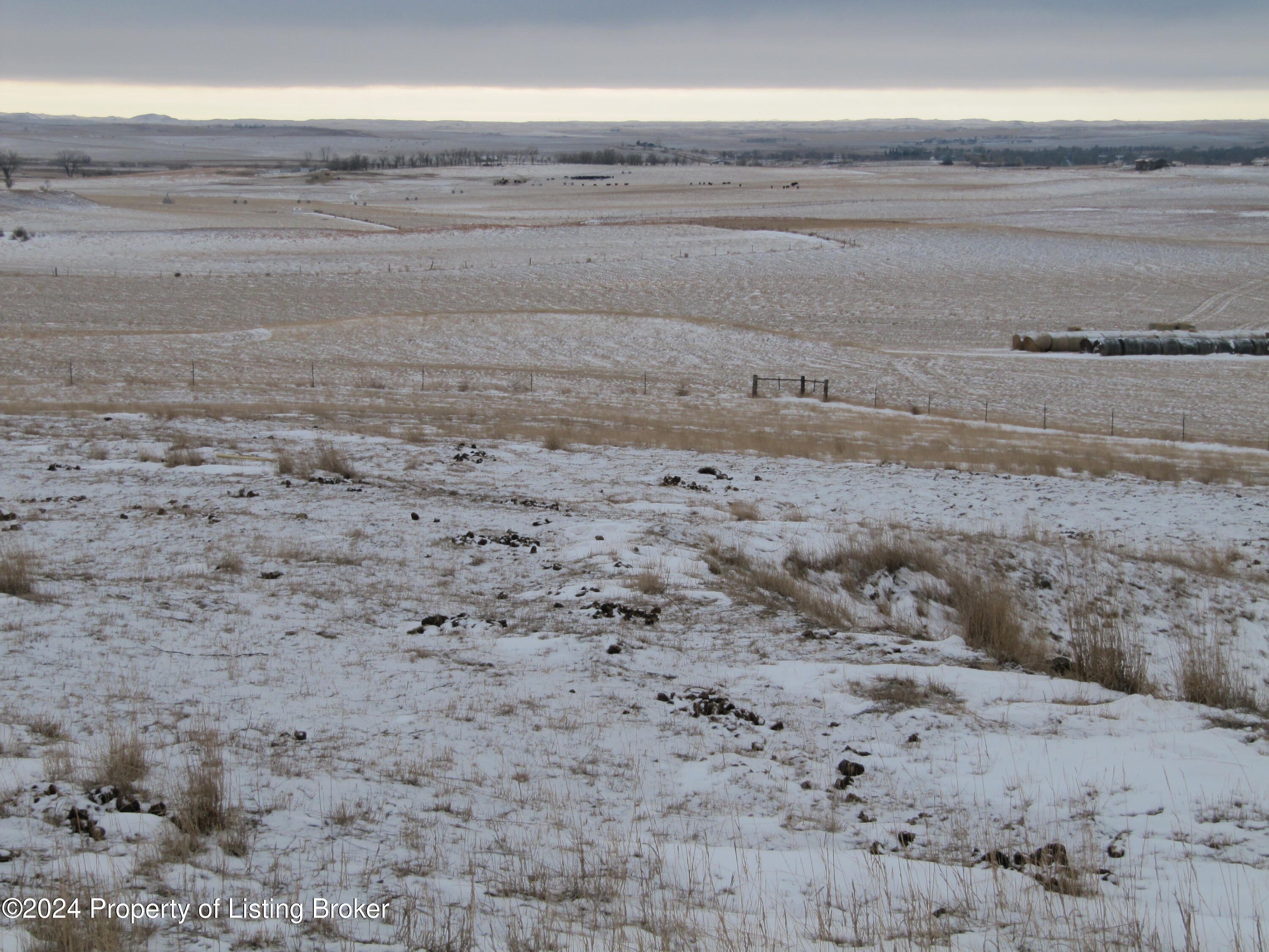 Tbd Bass Road Wibaux, MT 59353 - Photo 1 of 1 IMG_1099