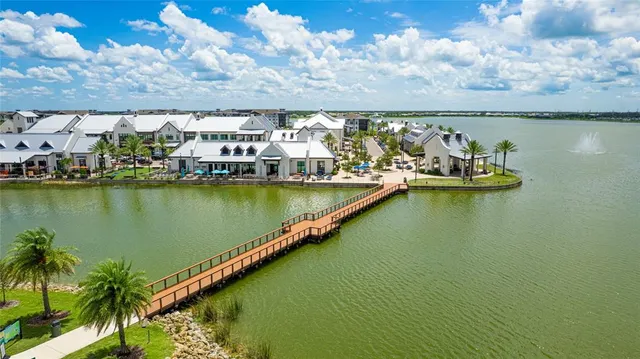 a row of palm trees and swimming pool in the garden