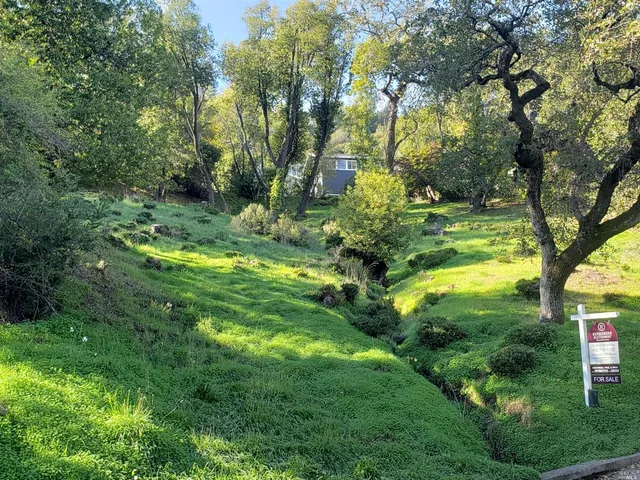 a view of yard with trees