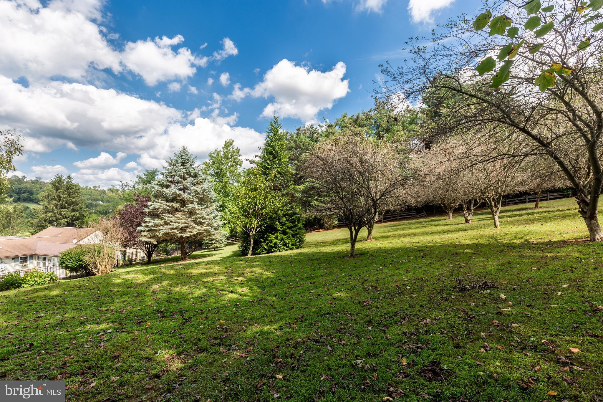 2709 Fridinger Mill Road Manchester, MD 21102 - Photo 53 of 108 Backyard