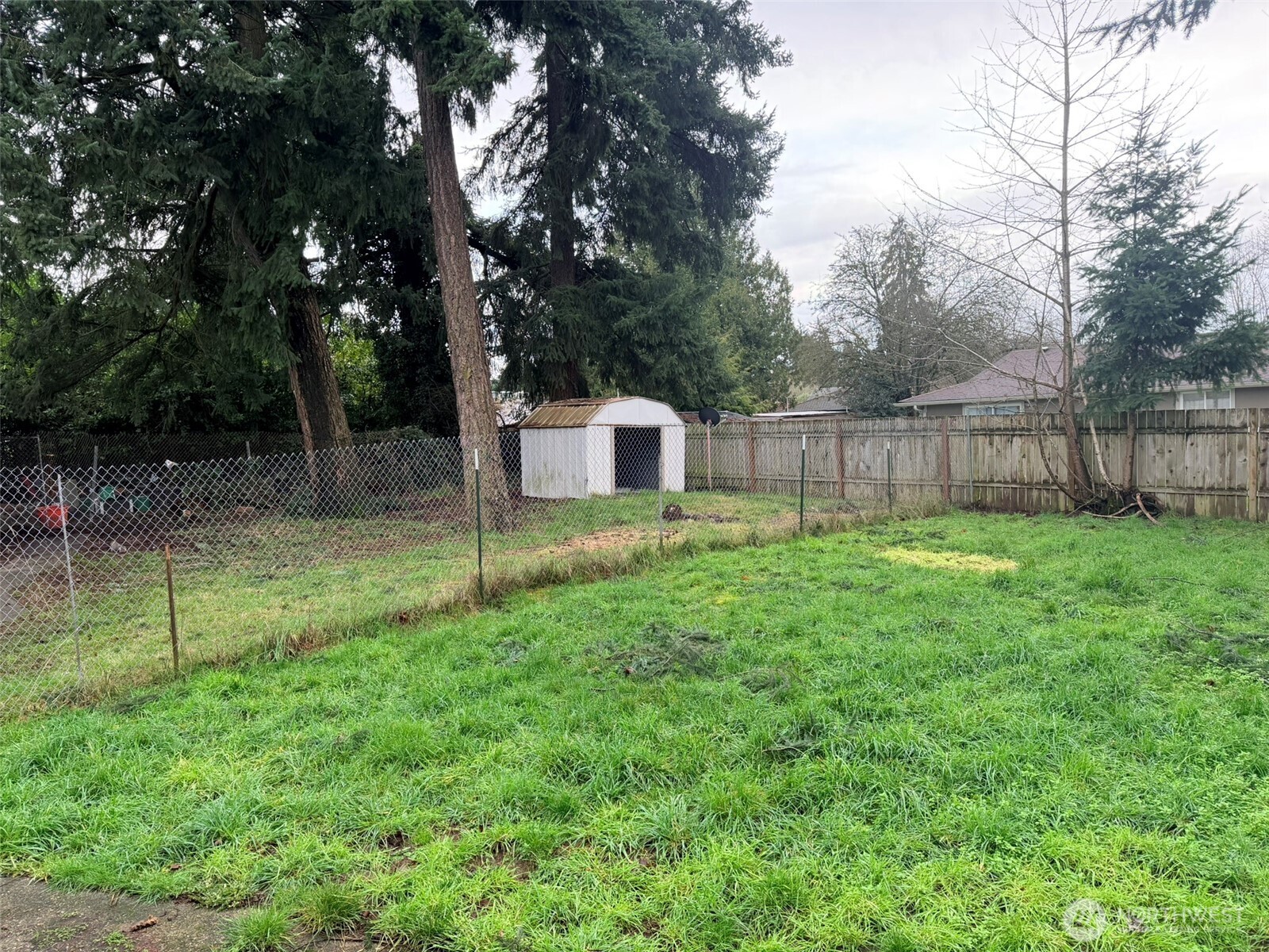 224 116th Street South Tacoma, WA 98444 - Photo 11 of 26 a view of a backyard with a barn and large trees