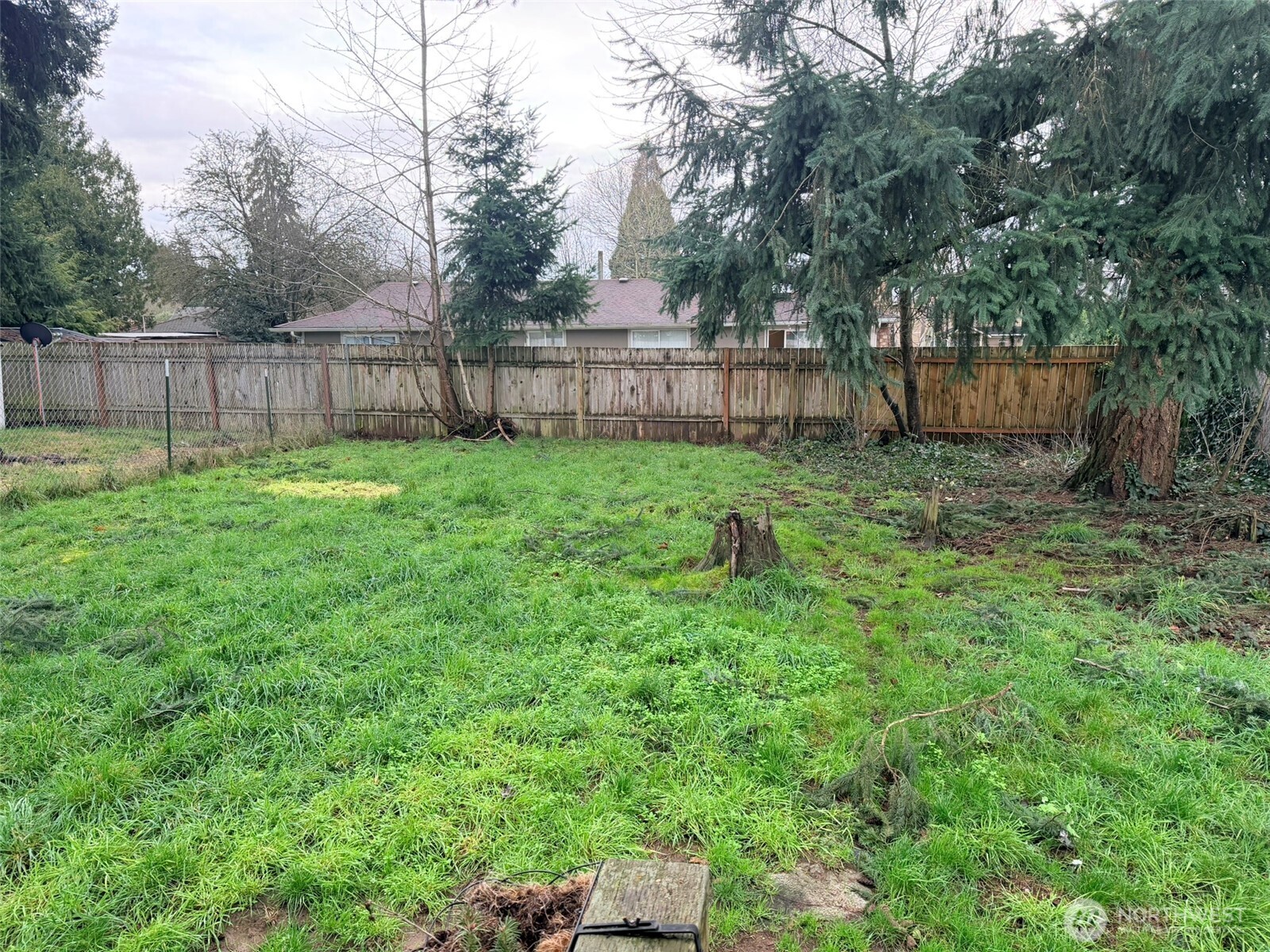 224 116th Street South Tacoma, WA 98444 - Photo 10 of 26 a view of a backyard with large trees and wooden fence