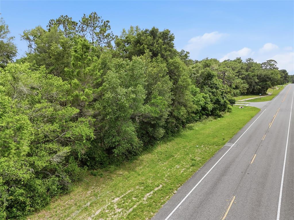 7002 North Castlebury Road Hernando, FL 34442 - Photo 9 of 29