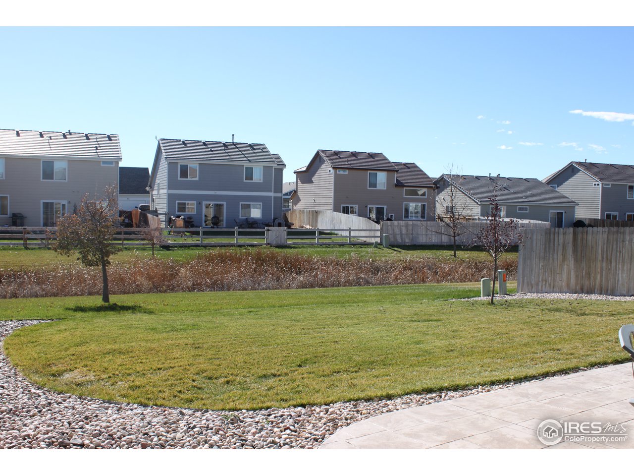 3927 Rannoch Street Fort Collins, CO 80524 - Photo 2 of 12 Gallery Image 2