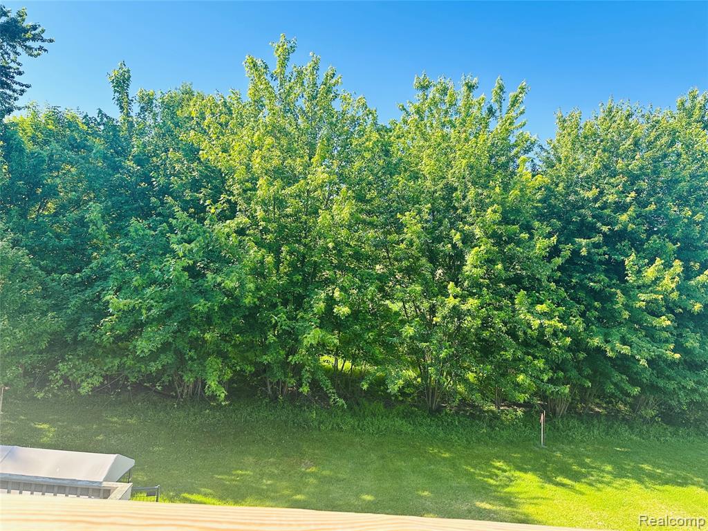 11270 Rushton Road, Unit 3 South Lyon, MI 48178 - Photo 6 of 21