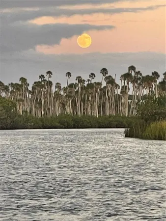 a view of swimming pool from a yard