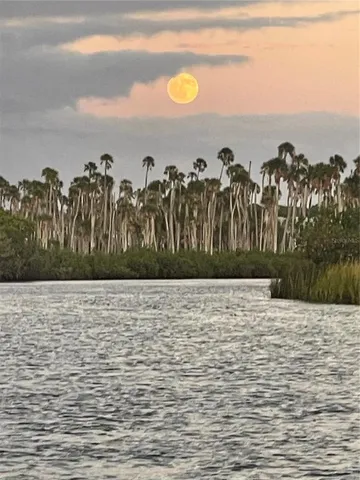 a view of swimming pool from a yard