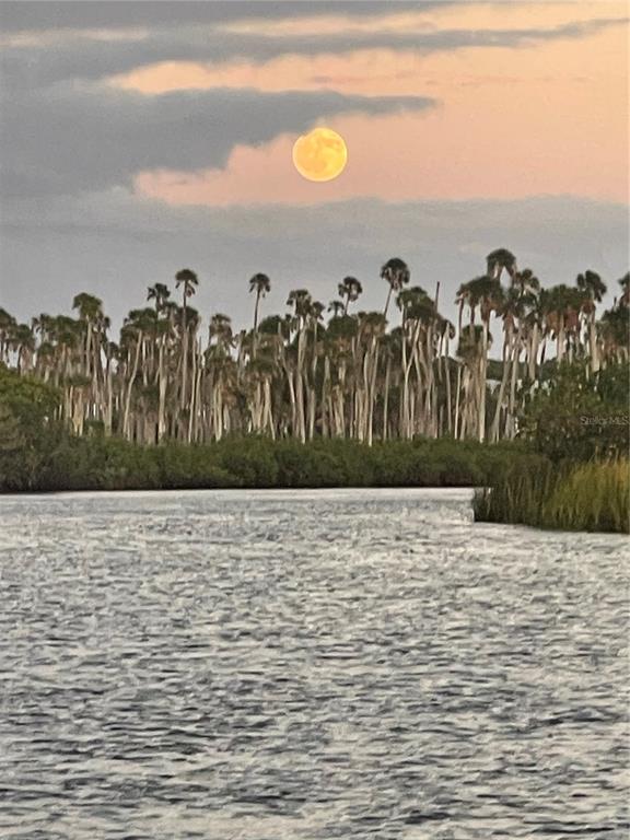6333 Bear Trail Weeki Wachee, FL 34607 - Photo 48 of 52 a view of a yard