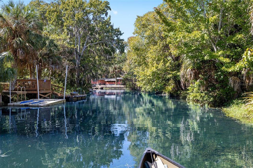 6333 Bear Trail Weeki Wachee, FL 34607 - Photo 5 of 52 a view of river covered by trees and buildings