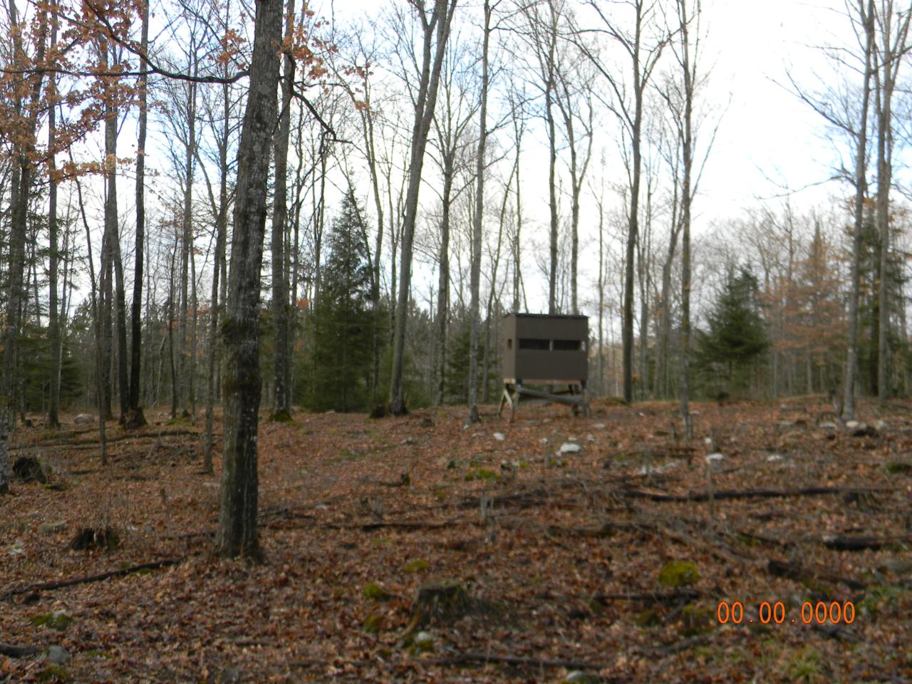 N7403 Begin Road Deerbrook, WI 54424 - Photo 20 of 66 Gallery Image 20