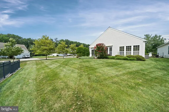 a view of a big yard with plants and large trees