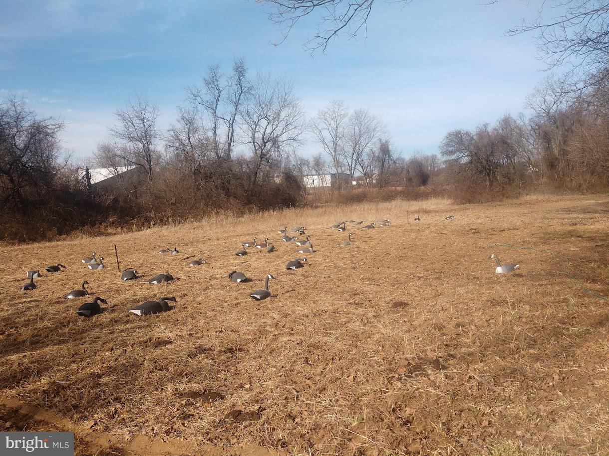 Maloney Road Elkton, MD 21921 - Photo 24 of 37 5.37 Acres zoned multi-family