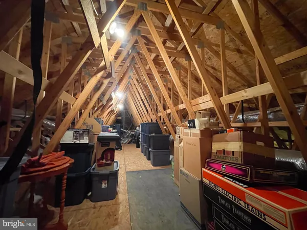 a view of a garden with a tree