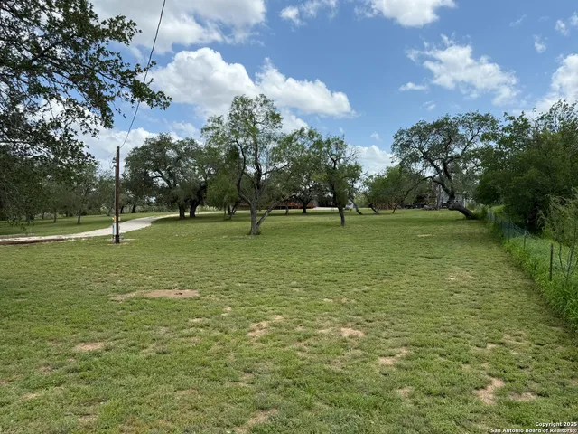 a view of a field with a tree in it