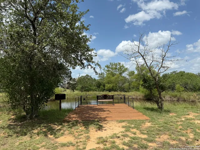a front view of a house with a yard and a large tree