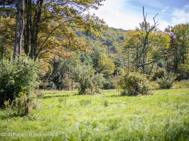 a view of a grassy field with trees in the background