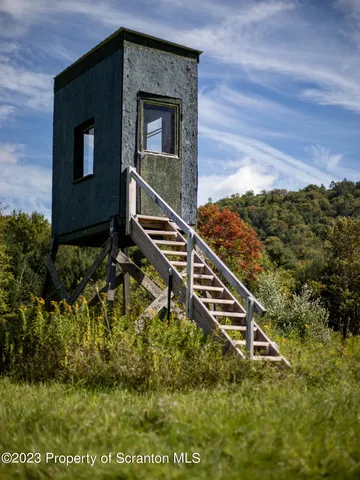 a view of backyard with green space