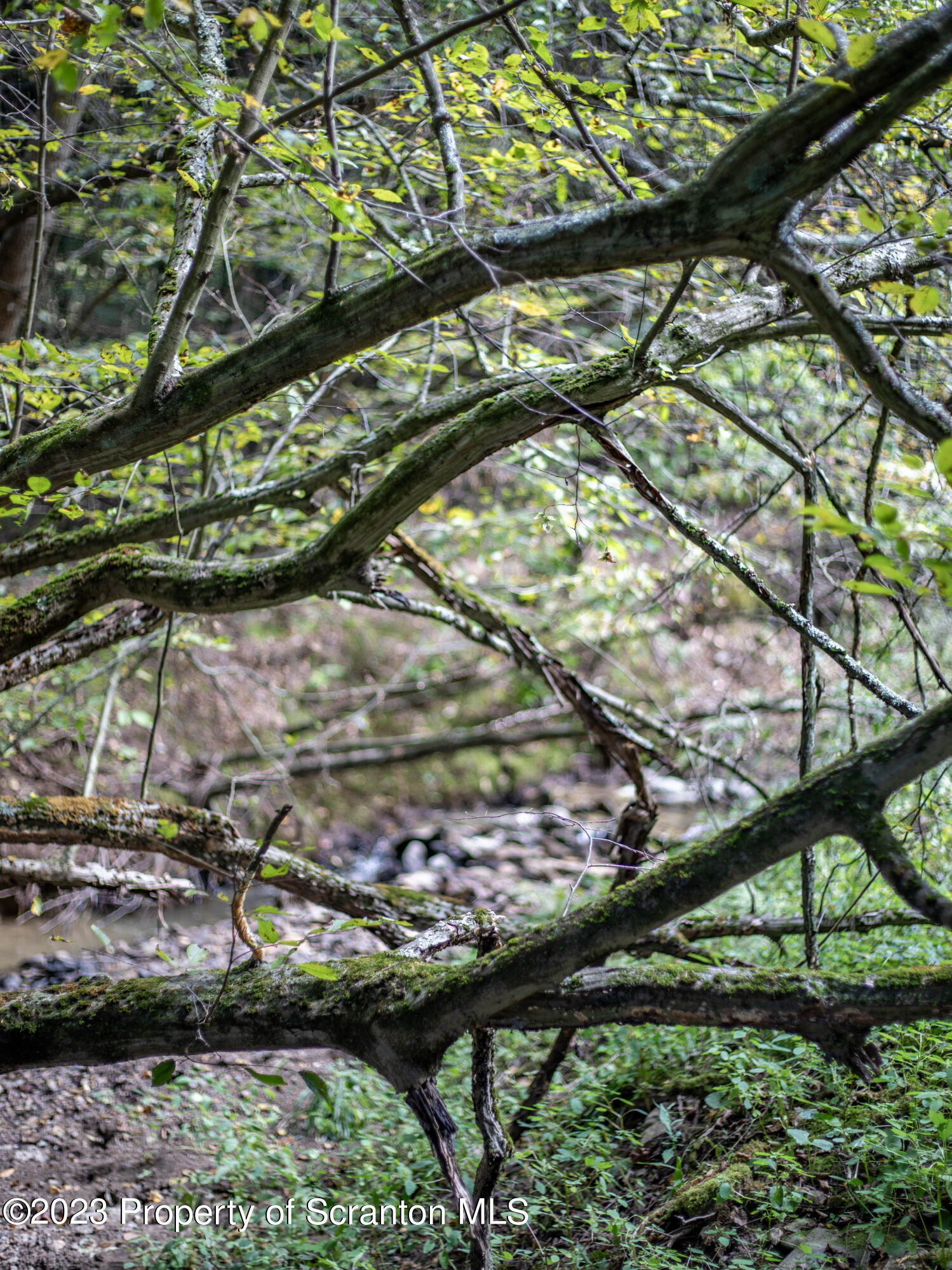 0 Franklin Hill Road Hallstead, PA 18822 - Photo 20 of 72 Stream