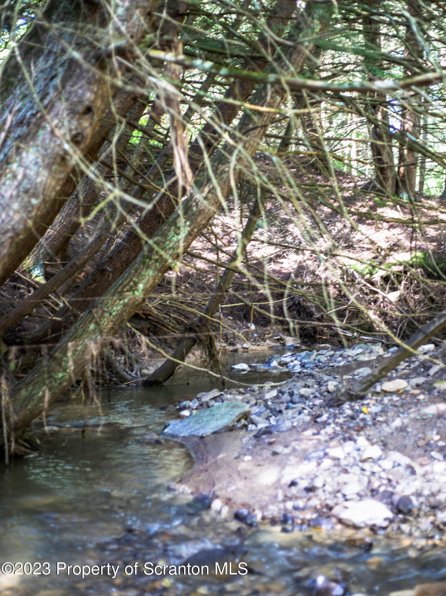 0 Franklin Hill Road Hallstead, PA 18822 - Photo 21 of 72 Stream