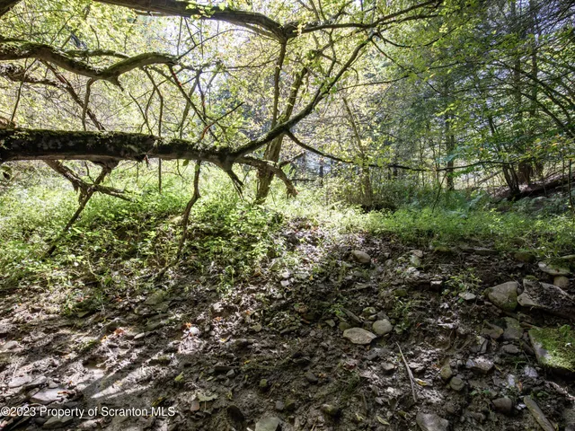 $285,000 | 0 Franklin Hill Road, Hallstead, PA 18822