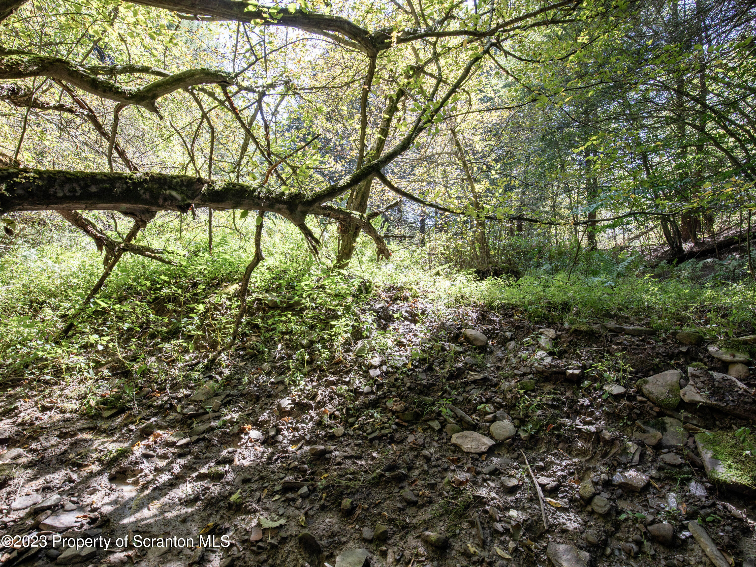 0 Franklin Hill Road Hallstead, PA 18822 - Photo 22 of 72 Woods