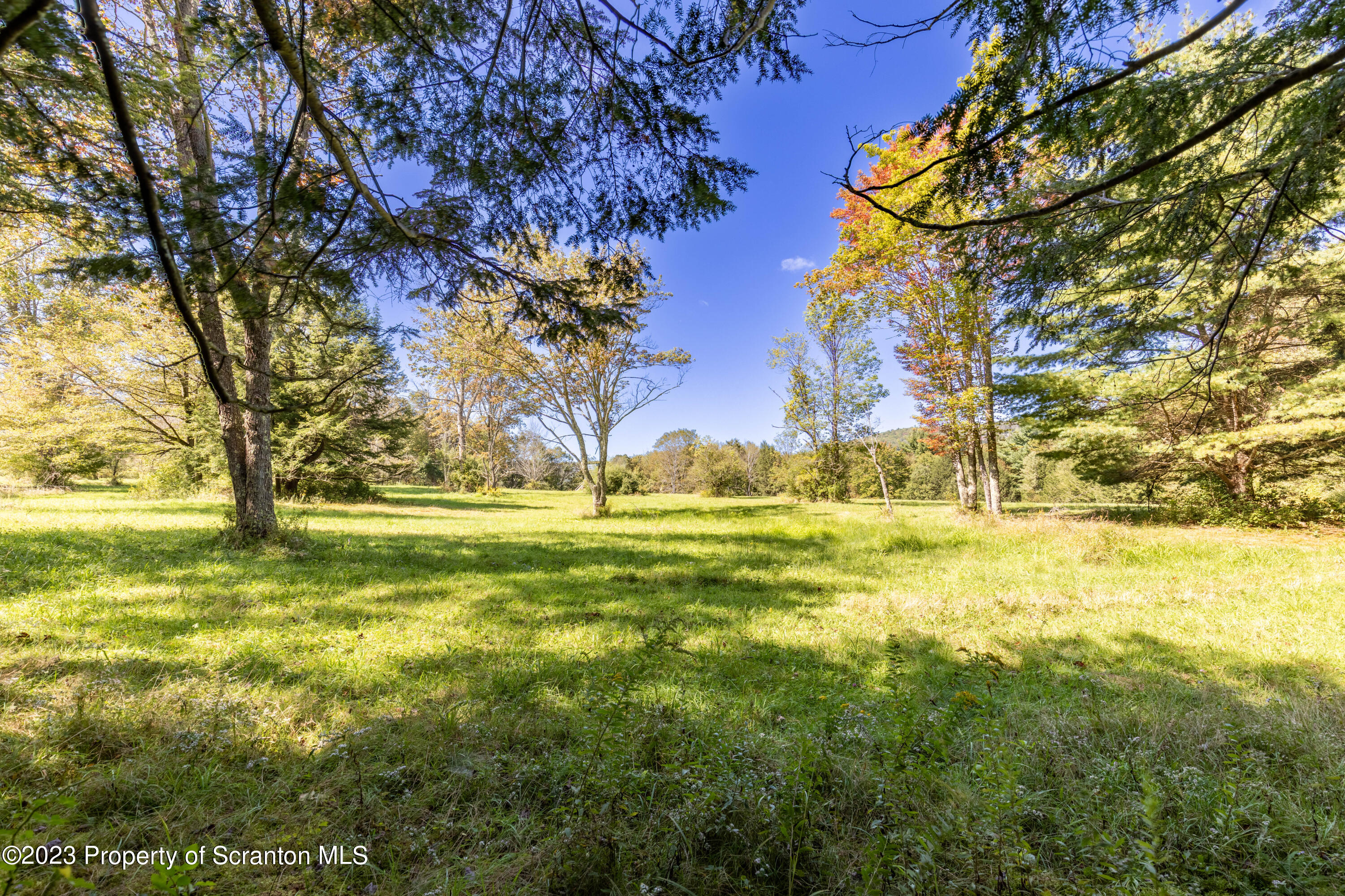 0 Franklin Hill Road Hallstead, PA 18822 - Photo 25 of 72 a view of yard with swimming pool and trees