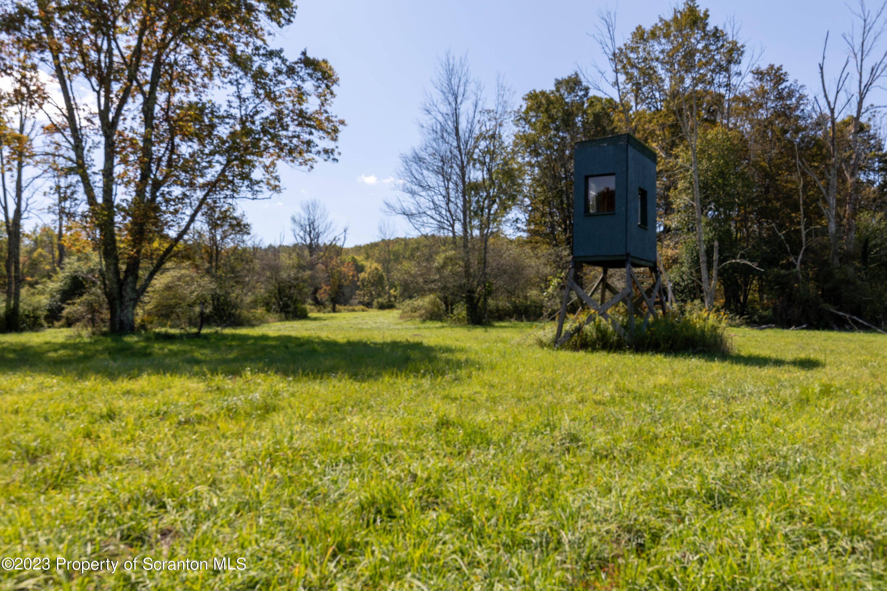 0 Franklin Hill Road Hallstead, PA 18822 - Photo 28 of 72 Clearing