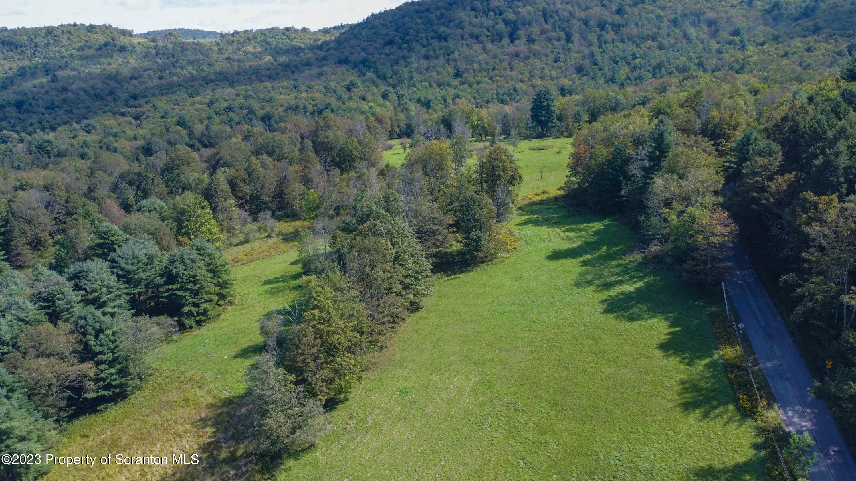 0 Franklin Hill Road Hallstead, PA 18822 - Photo 34 of 72 a view of a lush green forest with trees and some houses