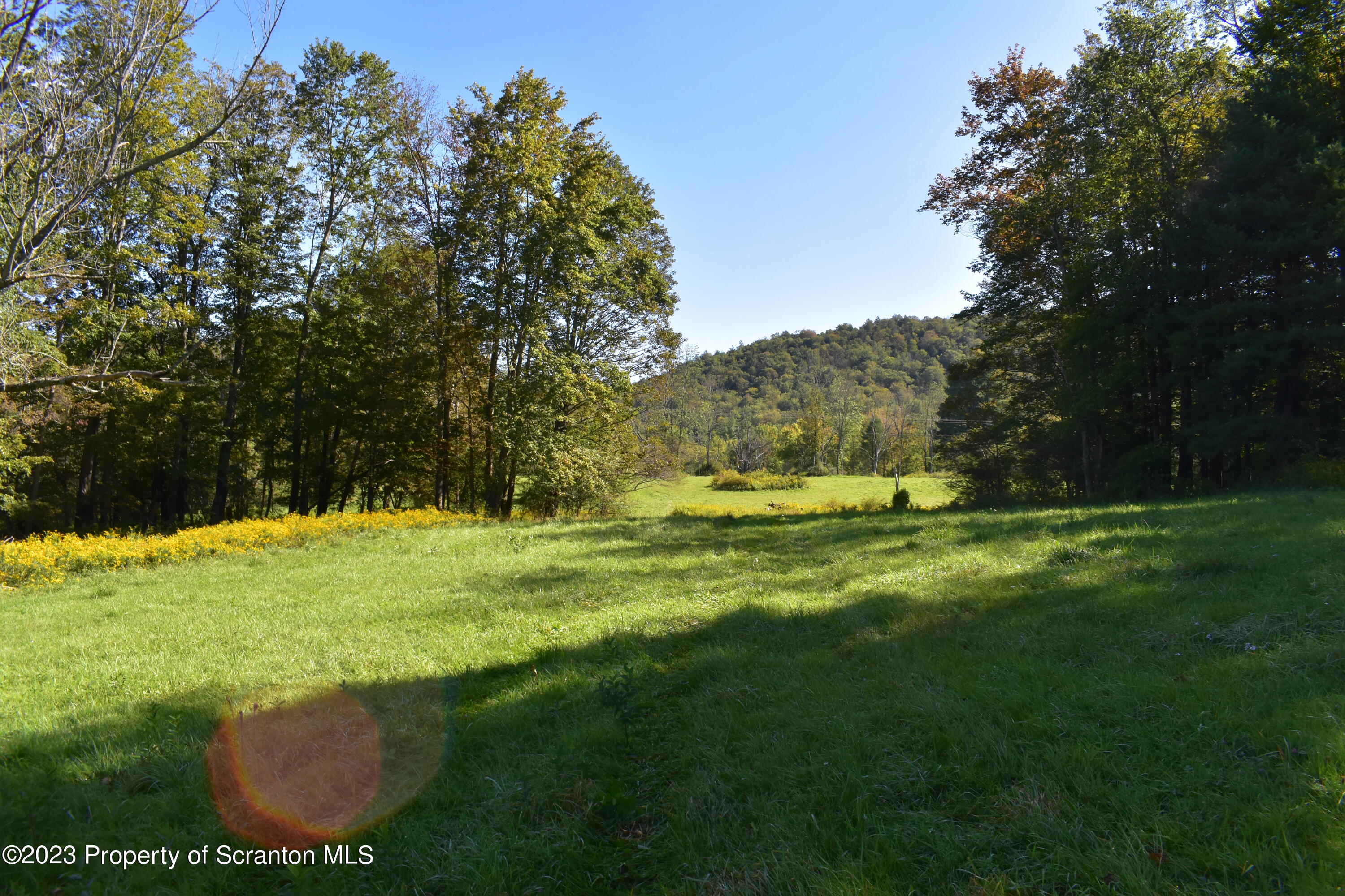 0 Franklin Hill Road Hallstead, PA 18822 - Photo 41 of 72 a view of a golf course with a lake