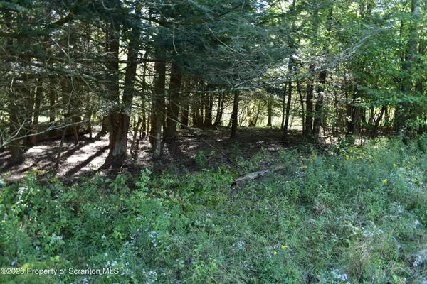 $285,000 | 0 Franklin Hill Road, Hallstead, PA 18822
