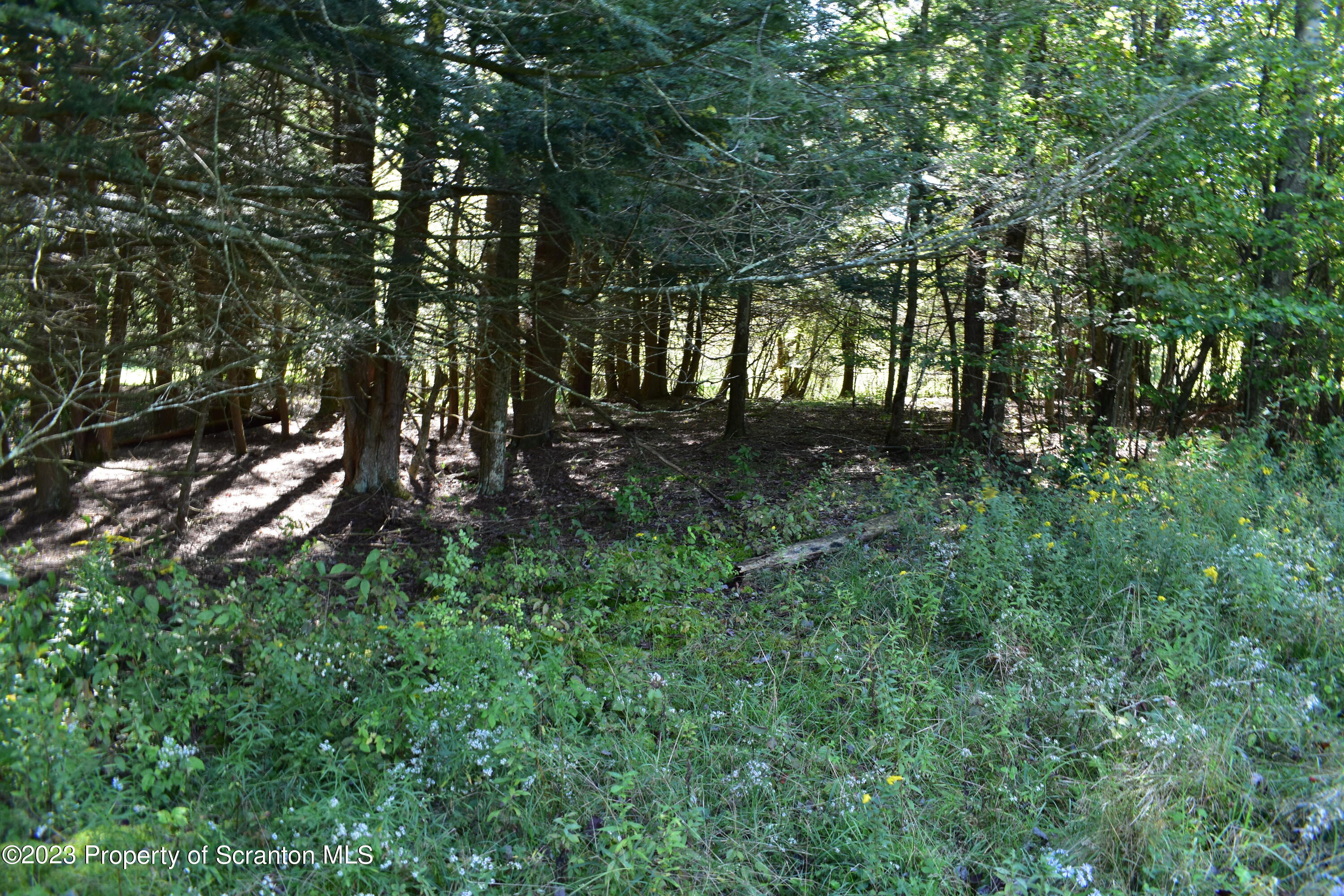 0 Franklin Hill Road Hallstead, PA 18822 - Photo 60 of 72 Woods