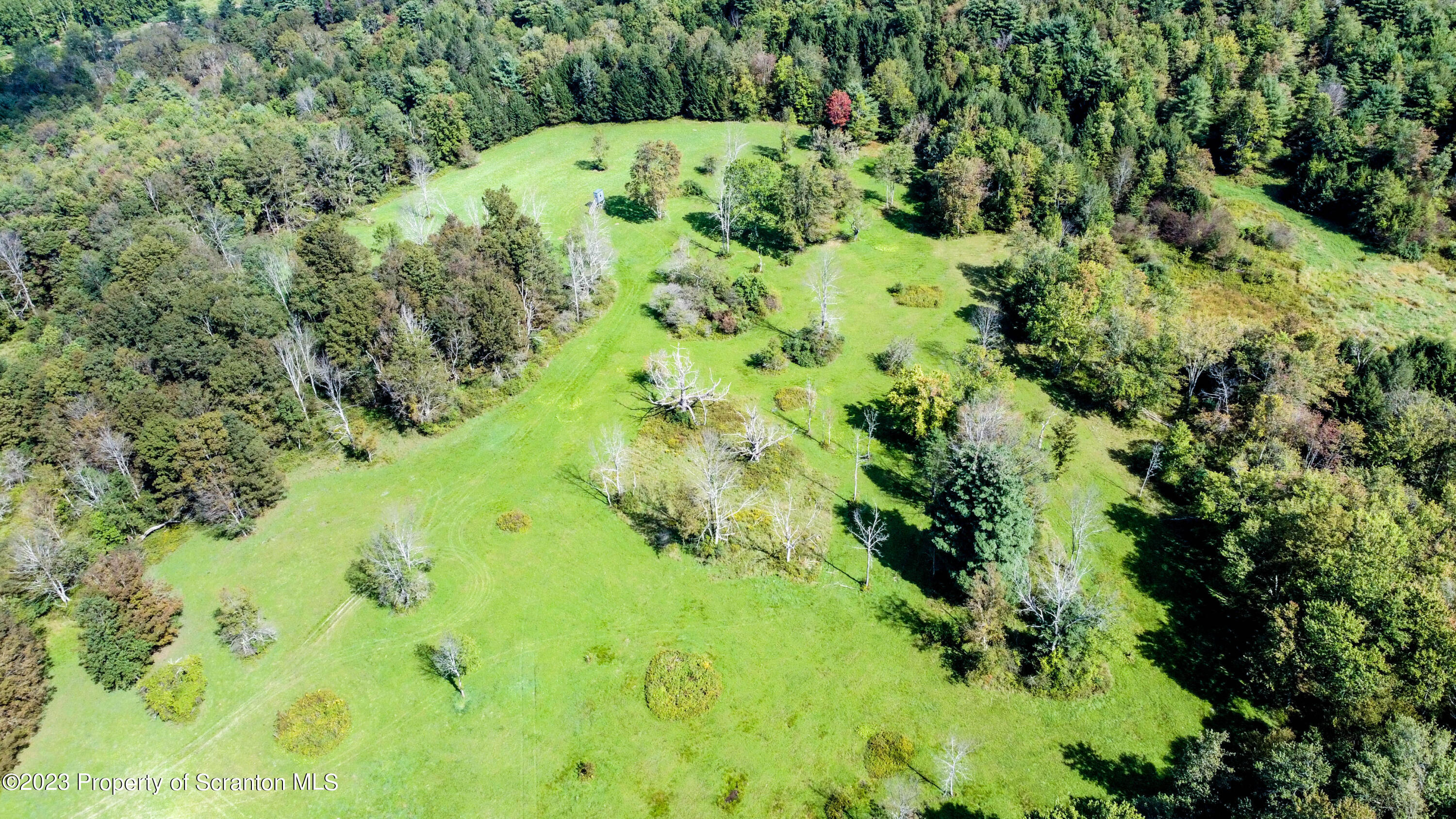 0 Franklin Hill Road Hallstead, PA 18822 - Photo 6 of 72 a view of a garden with a fountain