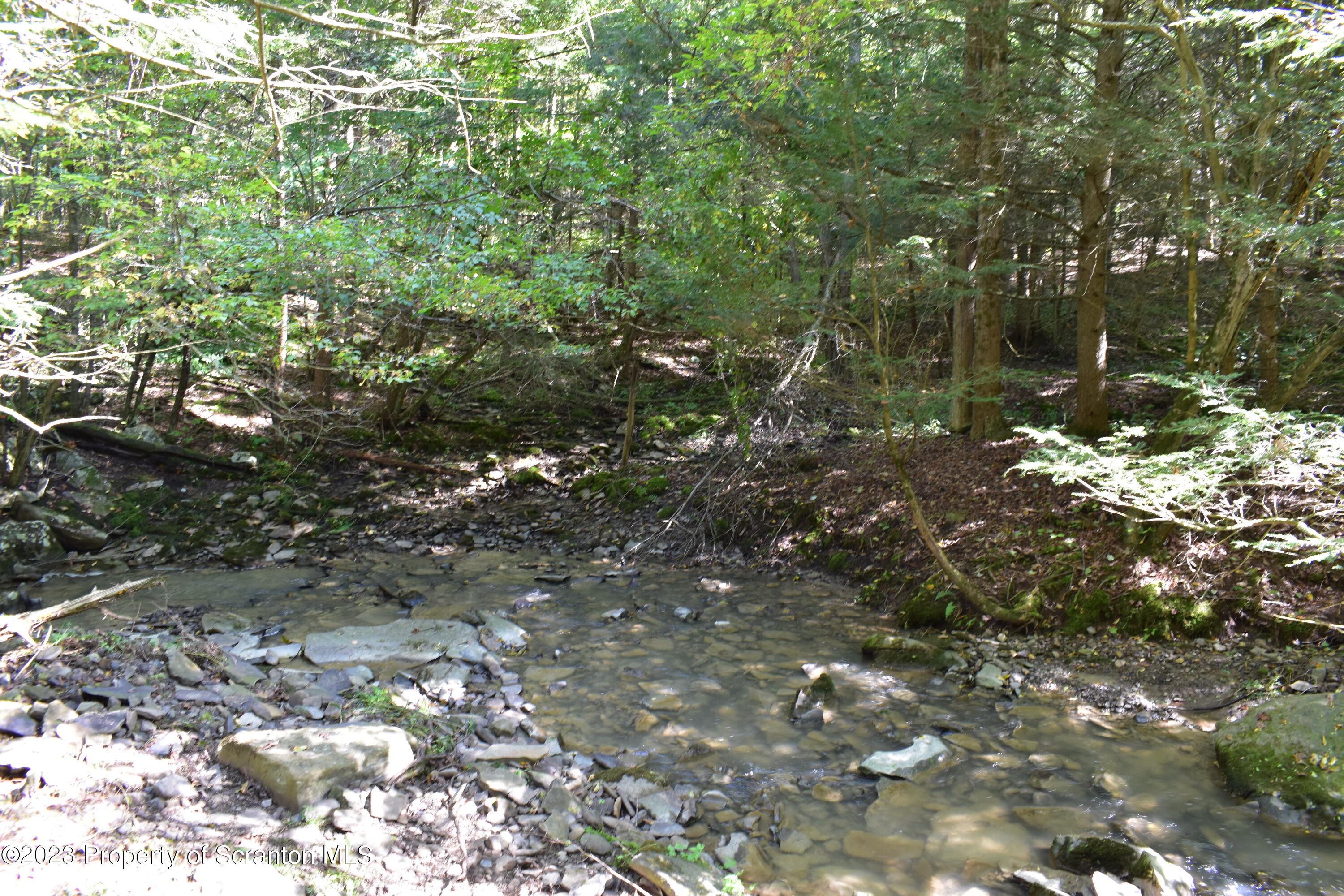 0 Franklin Hill Road Hallstead, PA 18822 - Photo 61 of 72 a view of a forest with lots of trees