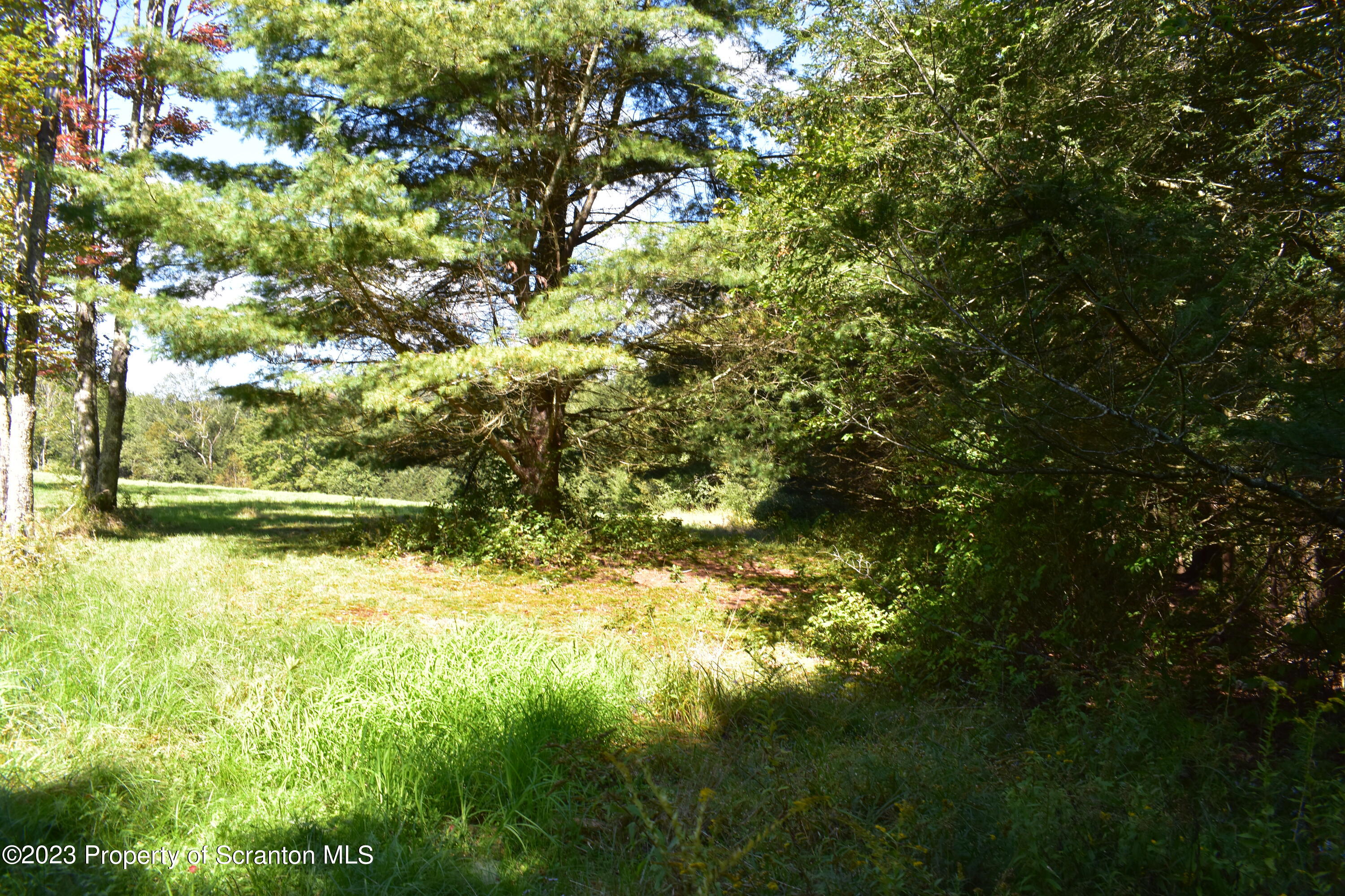 0 Franklin Hill Road Hallstead, PA 18822 - Photo 63 of 72 Land