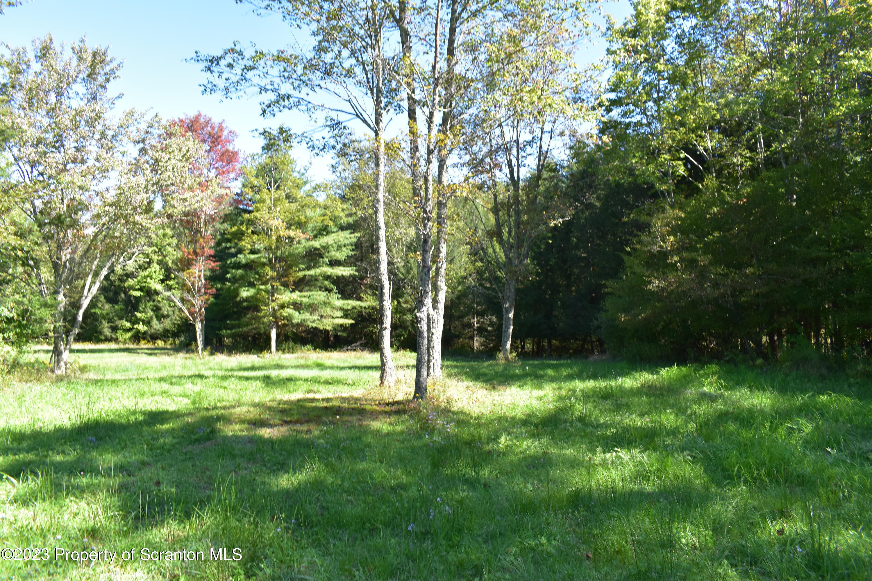 0 Franklin Hill Road Hallstead, PA 18822 - Photo 64 of 72 Spot for a home ?